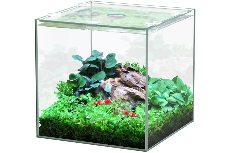 Aquatlantis Kubus Leer 1 Aquatlantis Kubus Leer