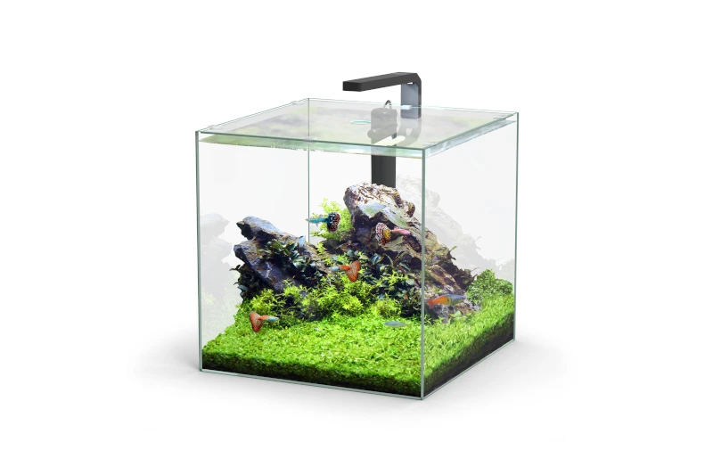 Aquatlantis Kubus 54 L LED Aquarienset 1 Aquatlantis Kubus 54 L LED Aquarienset