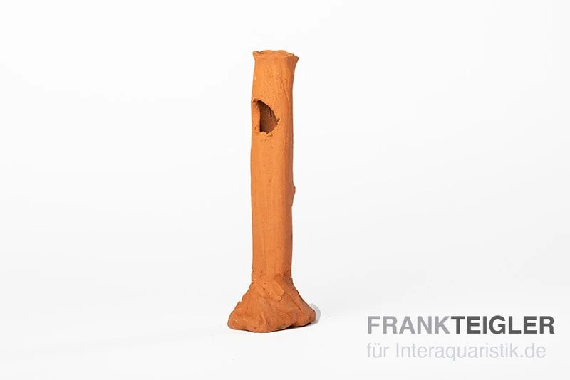 Aquariumkeramik Garnelenstamm Midi Terrakotta 1 Aquariumkeramik Garnelenstamm Midi Terrakotta