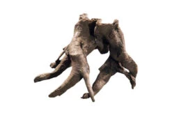 Hobby Rückwandwurzel 1, 21 X 11 X 14 Cm