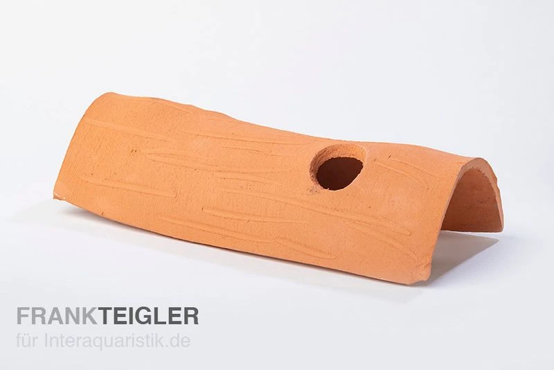 Aquariumkeramik Axolotl Tunnel Mit Fenster 30 Cm Terra 1 Aquariumkeramik Axolotl Tunnel Mit Fenster 30 Cm Terra