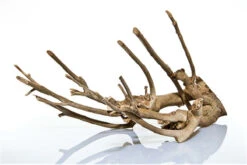 Aquadeco Talawa Holz, 80-100 Cm