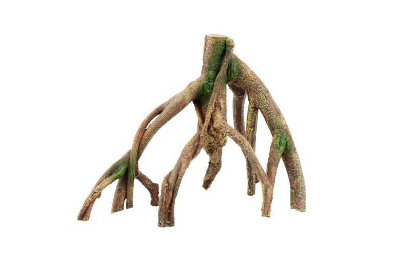 Aquatlantis Wurzel Mango 1 1 Aquatlantis Wurzel Mango 1