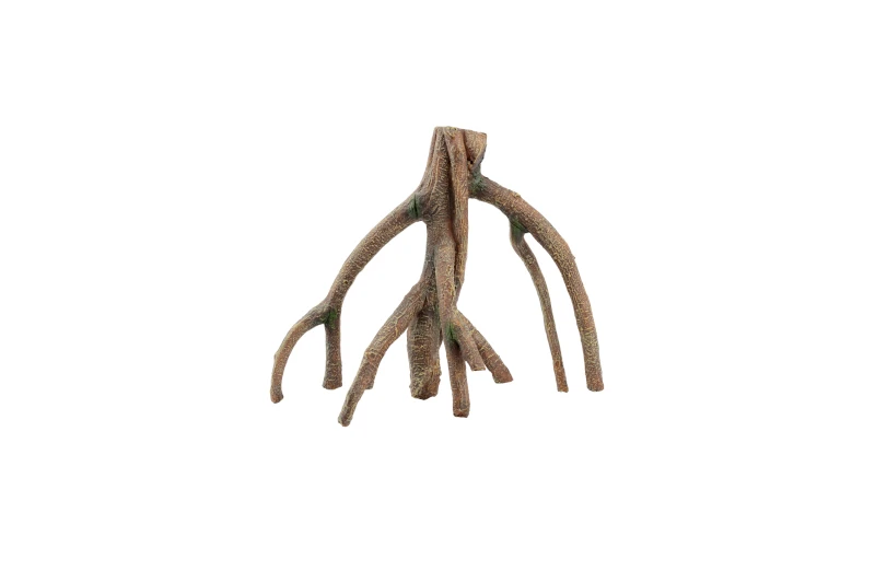 Aquatlantis Wurzel Mango 2 1 Aquatlantis Wurzel Mango 2