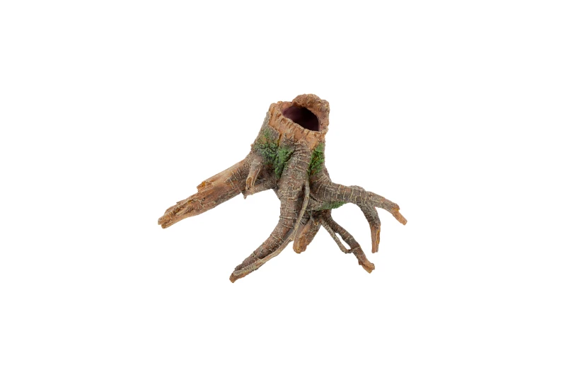 Aquatlantis Wurzel 1 Aquatlantis Wurzel