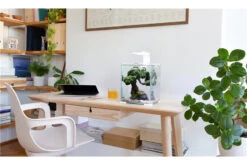 Aquael Shrimp Set Day&Night, 30 Liter Schwarz -EHEIM || sera || AQUATLANTIS Verkaufsgeschäft shrimp set day night 5