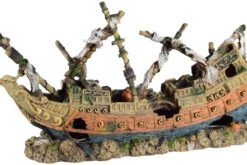 Aquatlantis Versunkenes Schiff Groß